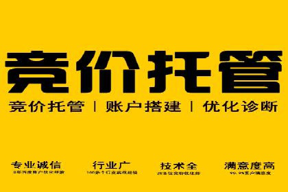 SEM竞价托管案例：提升广告效果的关键策略